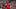 Bruno Fernandes Bruno Fernandes