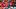 Toluca v Cruz Azul - Torneo Clausura 2026 Liga MX Toluca v Cruz Azul - Torneo Clausura 2026 Liga MX