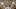 Extraordinary Maintenance Of Michelangelo's 'Last Judgement' In The Sistine Chapel