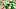 Oregon Ducks Dan Lanning Noah Whittington usc trojans college football Dierre Hill Makhi Hughes big Ten lincoln riley