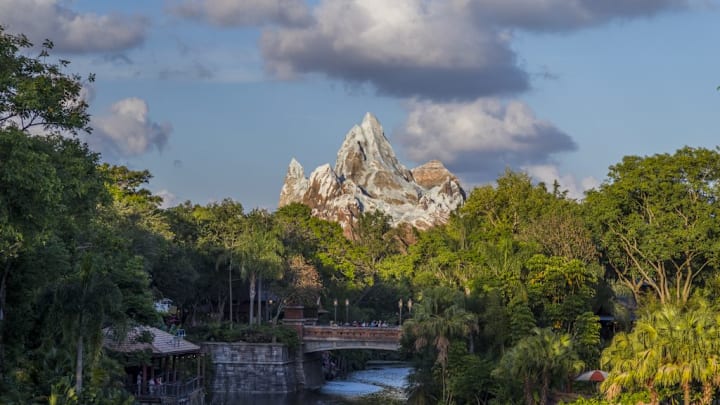 Expedition Everest thrills adventurers as it lurches forward and backward through the icy peaks of