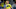 Sam Surridge Sam Surridge