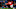 Reiss Nelson, Ricardo Pepi Reiss Nelson, Ricardo Pepi