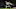 Joelinton, Thomas Partey Joelinton, Thomas Partey