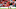 FBL-ENG-PR-LIVERPOOL-ARSENAL FBL-ENG-PR-LIVERPOOL-ARSENAL