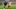 Leroy Sane, Takehiro Tomiyasu Leroy Sane, Takehiro Tomiyasu