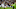 Riqui Puig, John McCarthy Riqui Puig, John McCarthy