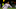 Orlando City SC v Cavalry FC: First Round - Concacaf Champions Cup - Leg One Orlando City SC v Cavalry FC: First Round - Concacaf Champions Cup - Leg One