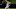 Tim Lincecum Tim Lincecum