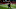 Grady Jarrett Grady Jarrett