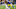 Royce Freeman, LA Rams, Rams News, Rams roster Royce Freeman, LA Rams, Rams News, Rams roster