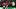 Harry Toffolo, Chris Wood, Brennan Johnson