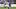 Reece James Reece James