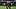 Thibaut Courtois