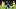 Paris Saint-Germain v Borussia Dortmund: Group F - UEFA Champions League 2023/24 Paris Saint-Germain v Borussia Dortmund: Group F - UEFA Champions League 2023/24