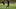 Aymeric Laporte