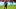 Bayer 04 Leverkusen v SV Werder Bremen - Bundesliga Bayer 04 Leverkusen v SV Werder Bremen - Bundesliga