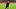 Bayer 04 Leverkusen v TSG Hoffenheim - Bundesliga