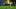 Al-Riyadh v Al-Nassr: Saudi Pro League