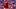 FC Bayern München v VfL Bochum 1848 - Bundesliga FC Bayern München v VfL Bochum 1848 - Bundesliga