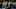 Eduardo Pereira Rodrigues scored during the match between...
