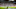 UEFA Europa League match day 2SK Slavia Praag v AFC Ajax Amsterdam