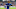 Leroy Sane