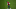 Kai Havertz