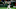 World Baseball Classic Pool B: Korea v China World Baseball Classic Pool B: Korea v China