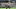 Marco Asensio ist ein hochveranlagter Spieler