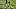 Ein deprimierter Julian Alvarez im Atleti-Training Ein deprimierter Julian Alvarez im Atleti-Training