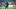 Boniface blieb für Werder ohne Treffer Boniface blieb für Werder ohne Treffer