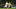 Die Kellerkinder unter sich: Eintracht Braunschweig vs. Holstein Kiel Die Kellerkinder unter sich: Eintracht Braunschweig vs. Holstein Kiel