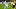 Noel Aseko lieferte gegen den BVB ab