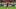 Kimmich gibt dem Münchner Spiel im Zentrum Struktur