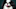 Japanese Chin at Crufts 2017. Japanese Chin at Crufts 2017.