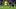 Edson Alvarez, Jin-ho Jo Edson Alvarez, Jin-ho Jo