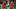 Brazil v Belgium: Quarter Final - 2018 FIFA World Cup Russia Brazil v Belgium: Quarter Final - 2018 FIFA World Cup Russia