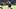 Soccer - World Cup France 98 - Second Round - Germany v Mexico Soccer - World Cup France 98 - Second Round - Germany v Mexico