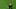 Thomas Tuchel, Javier Aguirre Thomas Tuchel, Javier Aguirre