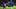 Estevao, Reece James Estevao, Reece James