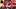 Elliot Anderson, Diogo Dalot Elliot Anderson, Diogo Dalot