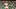 Austin FC v Club Tijuana - Leagues Cup Phase One Austin FC v Club Tijuana - Leagues Cup Phase One