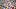 2026 World Cup stickers by Panini 2026 World Cup stickers by Panini