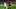 Aymeric Laporte Aymeric Laporte