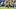 Folarin Balogun vs. Australia Folarin Balogun vs. Australia