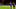 Robert Lewandowski, Ferran Torres Robert Lewandowski, Ferran Torres