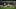 Harry Maguire, Senne Lammens Harry Maguire, Senne Lammens