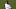 Ferland Mendy