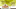 Olive Garden Mint Hot Chocolate Recipe Olive Garden Mint Hot Chocolate Recipe
